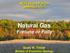 Natural Gas Fortune or Folly