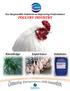 Eco-Responsible Solutions to Improving Performance POULTRY INDUSTRY. Knowledge Experience Solutions