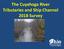 The Cuyahoga River Tributaries and Ship Channel 2018 Survey