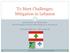 To Meet Challenges: Mitigation in Lebanon