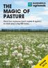 THE MAGIC OF PASTURE. Feed that replaces itself (again & again!) to curb your c/kg MS costs.