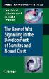 The Role of Wnt Signalling in the Development of Somites and Neural Crest. Corina Schmidt Imelda McGonnell Steve Allen Ketan Patel