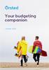 Your budgeting companion