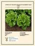 A PROFILE OF THE SOUTH AFRICAN LETTUCE MARKET VALUE CHAIN 2015