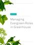 Managing Evergreen Roles in Greenhouse