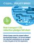 How transport CO2 reduction pledges fall short POLICY BRIEF