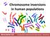 Chromosome inversions in human populations Maria Bellet Coll