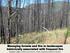 Managing forests and fire in landscapes historically associated with frequent fire
