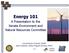 Energy 101. A Presentation to the Senate Environment and Natural Resources Committee