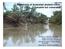 Waterholes of Australian dryland rivers: Valuable but vulnerable
