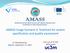 AMASS. Architecture-driven, Multi-concern and Seamless Assurance and