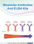 Biosimilar Antibodies And ELISA Kits
