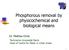 Phosphorous removal by physicochemical and biological means