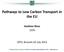 Pathways to Low Carbon Transport in the EU