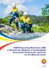 ASEAN Reporting Mechanism (RM) to Monitor the Adoption of Sustainability Assessment Frameworks and Tools for the Minerals Sector