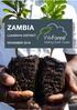WeForest Project Report Zambia, Luanshya District November 2018 ZAMBIA LUANSHYA DISTRICT NOVEMBER Photo: WeForest