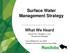 Surface Water Management Strategy. What We Heard ... Summit Two November 20, 2012 Viscount Gort, Winnipeg