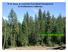 W.M. Beaty & Associates Forestland Management in Northeastern California.   WBA Managed Tract, SE Lassen County