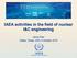 IAEA activities in the field of nuclear I&C engineering