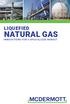 LIQUEFIED NATURAL GAS INNOVATIONS FOR A SPECIALIZED MARKET