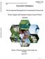 Executive Summary-Environmental Assessment & Management Framework April 2015 WSSIP. Executive Summary