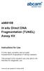 ab66108 In situ Direct DNA Fragmentation (TUNEL) Assay Kit