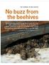 No buzz from the beehives