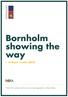 Bornholm showing the way without waste 2032