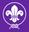 Scouts of the World Award YOUTH PROGRAMME