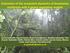 Evaluation of the ecosystem dynamics of Amazonian rainforests with 4 global vegetation models