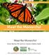 Meet the Monarchs! Meet the Monarchs! Discover why these little insects are a big deal in Madison County!