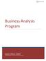 Business Analysis Program
