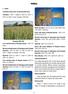 Millets. Land preparation. 1. Jowar. Varieties along with recommended area