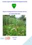 Country Agency for Rural Development (CAD) Report of Integrated Socio-Economic Survey in Central Chin State