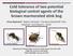 Cold tolerance of two potential biological control agents of the brown marmorated stink bug