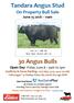 Tandara Angus Stud. 30 Angus Bulls. On Property Bull Sale June am