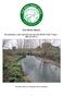 The River Brent. An advisory visit carried out by the Wild Trout Trust March The River Brent at Tokyngton Park, Wembley