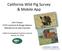 California Wild Pig Survey & Mobile App