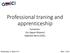 Professional traning and apprenticeship. Conveners: Eric Giguet (Alsyom) Stéphane Berry (CEA),