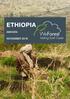 WeForest Project Report Ethiopia Amhara November 2018 ETHIOPIA AMHARA NOVEMBER Photo: WeForest