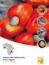 Analysis of the Cashew Value Chain in Nigeria. African Cashew initiative