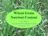 Wheat Grain Nutrient Content. Tom Jensen International Plant Nutrition Institute Saskatoon, SK