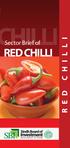 HILLI RED CHILLI R E D C H I L L I. Sector Brief of