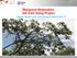 Mangrove Restoration GIZ Kien Giang Project Sharon Brown, Chu Van Cuong & Huynh Huu To