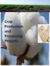 Crop Production and Processing Projects