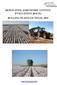 REPLICATED AGRONOMIC COTTON EVALUATION (RACE) ROLLING PLAINS OF TEXAS, 2013