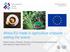 Africa-EU trade in agriculture products setting the scene