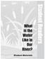 Student Readers. What is the Water Like in Our. River? Student Materials