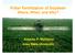 Foliar Fertilization of Soybean Where, When, and Why? Antonio P. Mallarino Iowa State University