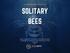 What is a Solitary Bee 3 Why Raise Solitary Bees? 4. Solitary Bee Supplies 9